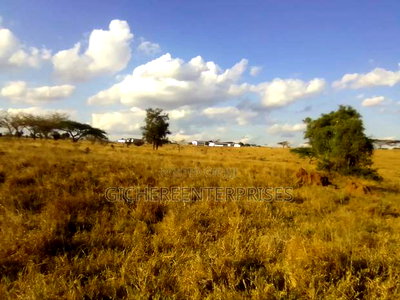 Kajiado Lsinya - Image 3