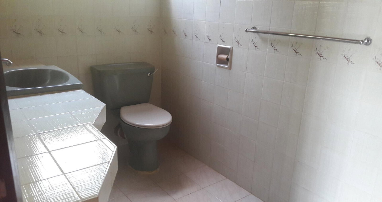 1/2 Acre Garden Home at KSh 250K