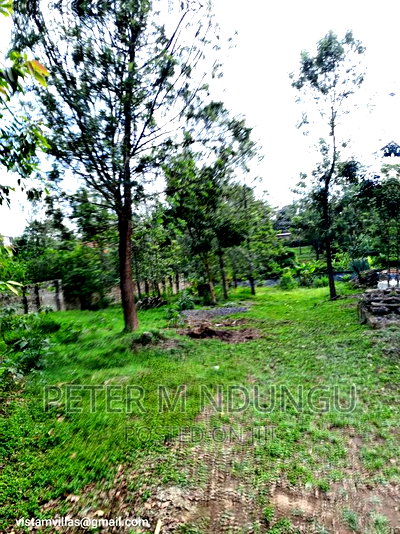 Thindigua 3/4 Acre Near Windsor Hotel - Image 6