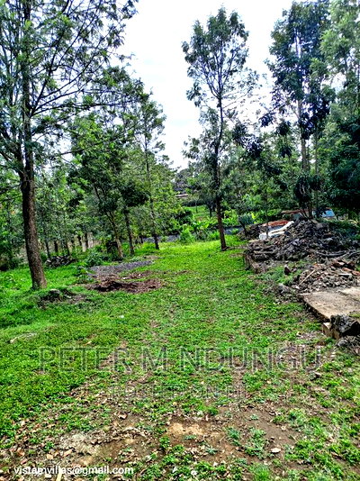 Thindigua 3/4 Acre Near Windsor Hotel - Image 4