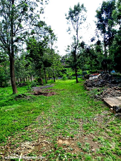 Thindigua 3/4 Acre Near Windsor Hotel - Image 10