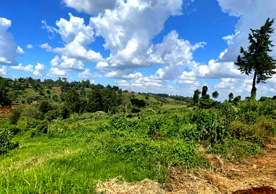 22-Acre Garden Land with Parking - Limuru
