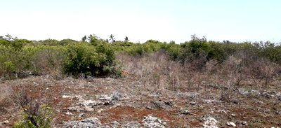 2.75-Acre Beach Plot for KSh 60M