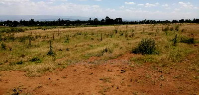 Prime 60-Acre Parcel of Land in Njoro, Nakuru - Image 1