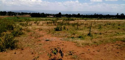 Prime 60-Acre Parcel of Land in Njoro, Nakuru - Image 3