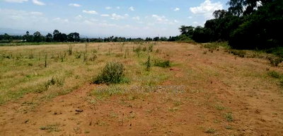 Prime 60-Acre Parcel of Land in Njoro, Nakuru - Image 2