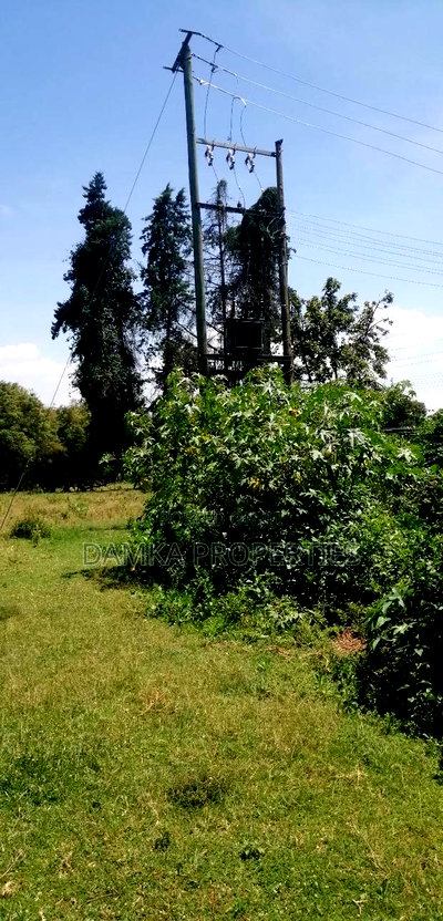 Prime 60-Acre Parcel of Land in Njoro, Nakuru - Image 4