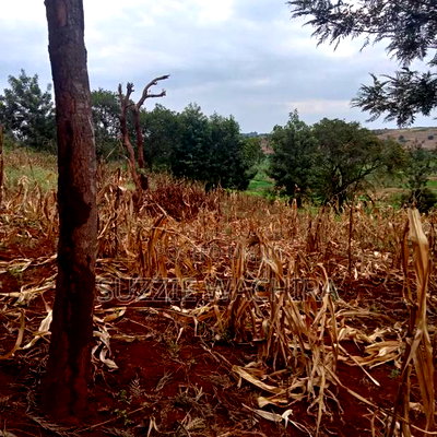 Kabati Zabka 40*80ft Residential Plots for Sale in Muranga - Image 2