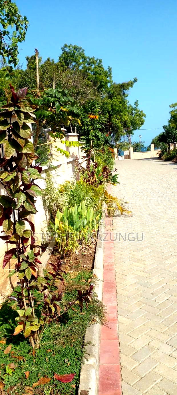 On Sale 1/2 Acre Beach Plot With House in It.