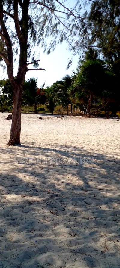 On Sale 1/2 Acre Beach Plot With House in It. - Image 13