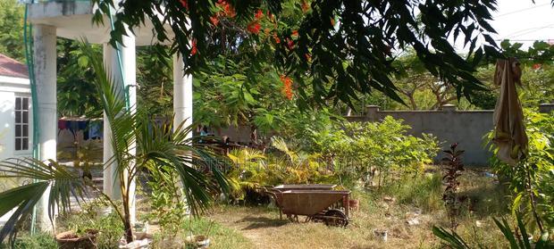 On Sale 1/2 Acre Beach Plot With House in It.