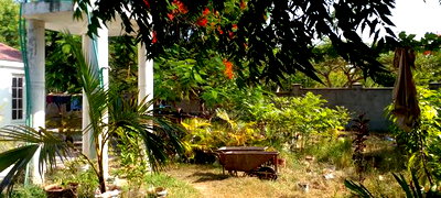 On Sale 1/2 Acre Beach Plot With House in It. - Image 11