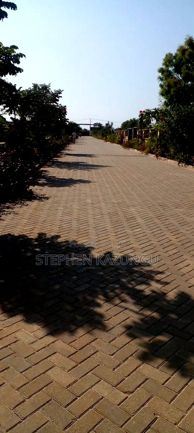 On Sale 1/2 Acre Beach Plot With House in It. - Image 9