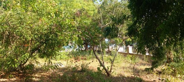On Sale 1/2 Acre Beach Plot With House in It.