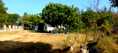 On Sale 1/2 Acre Beach Plot With House in It. - Image 6