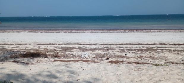 On Sale 1/2 Acre Beach Plot With House in It.