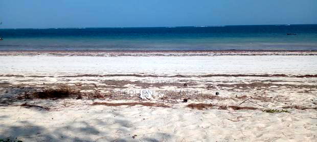 On Sale 1/2 Acre Beach Plot With House in It.