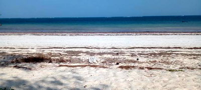 On Sale 1/2 Acre Beach Plot With House in It. - Image 3