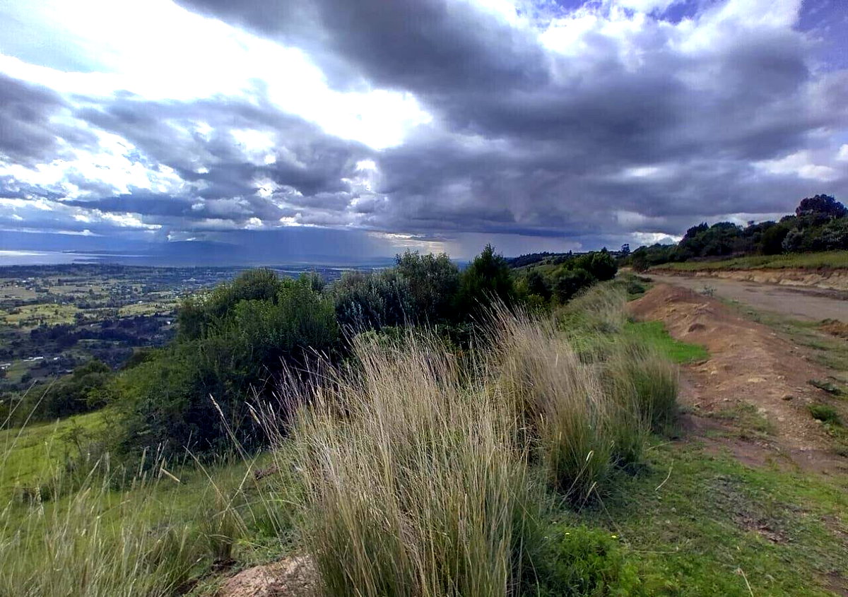 50-Acre Land in Karati, Naivasha