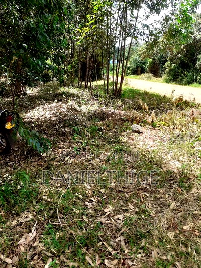 0.7 Acre Land on Sale in Kikuyu Kwa Mindo Near Karlo Muguga - Image 2