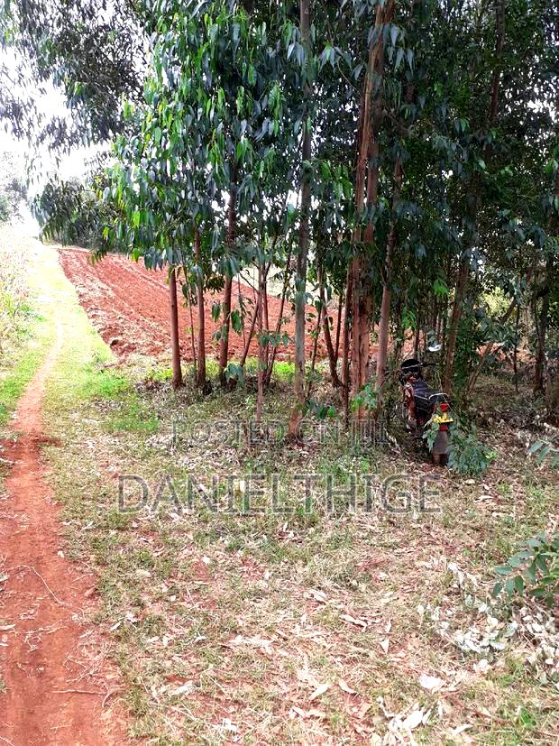 0.7 Acre Land on Sale in Kikuyu Kwa Mindo Near Karlo Muguga