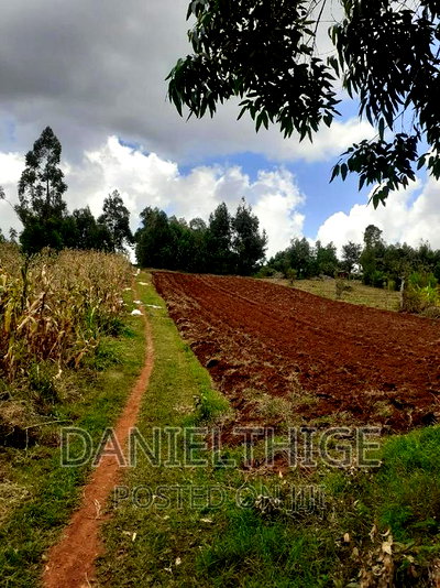 0.7 Acre Land on Sale in Kikuyu Kwa Mindo Near Karlo Muguga - Image 9