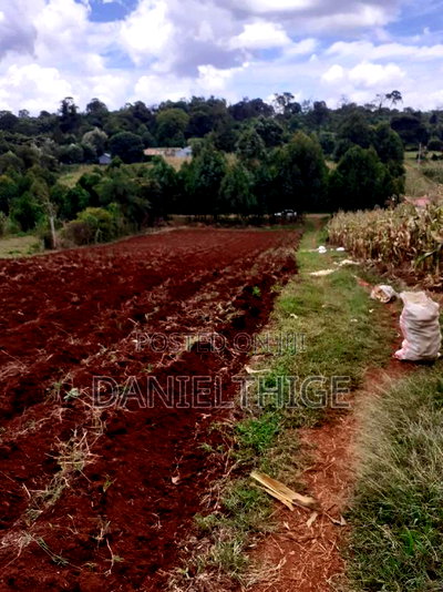 0.7 Acre Land on Sale in Kikuyu Kwa Mindo Near Karlo Muguga - Image 8