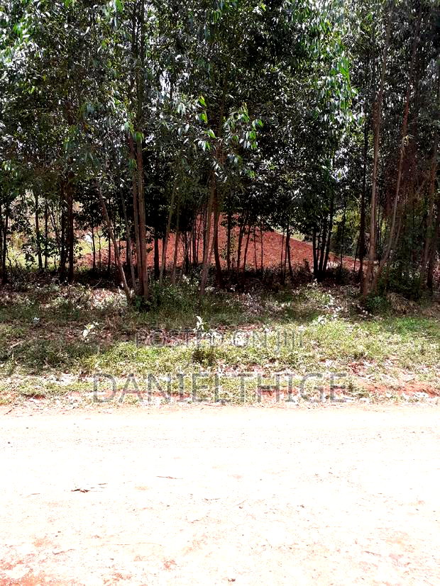 0.7 Acre Land on Sale in Kikuyu Kwa Mindo Near Karlo Muguga