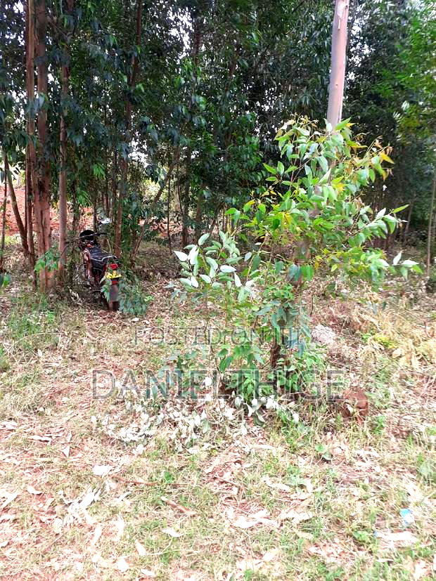 0.7 Acre Land on Sale in Kikuyu Kwa Mindo Near Karlo Muguga