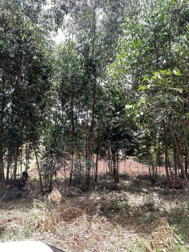 0.7 Acre Land on Sale in Kikuyu Kwa Mindo Near Karlo Muguga