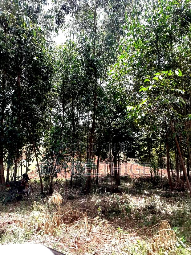 0.7 Acre Land on Sale in Kikuyu Kwa Mindo Near Karlo Muguga