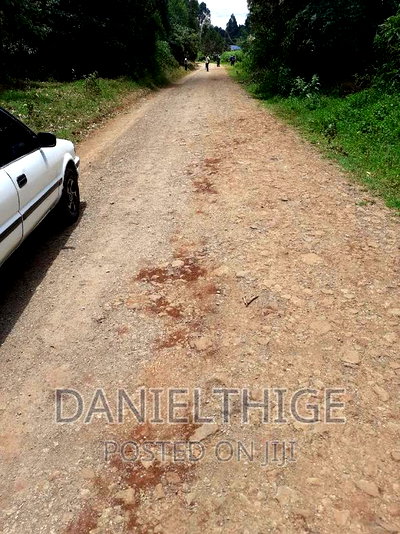 0.7 Acre Land on Sale in Kikuyu Kwa Mindo Near Karlo Muguga - Image 6