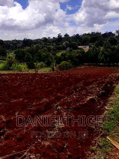 0.7 Acre Land on Sale in Kikuyu Kwa Mindo Near Karlo Muguga - Image 7