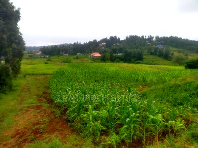 1 Acre Kauurai - Image 4