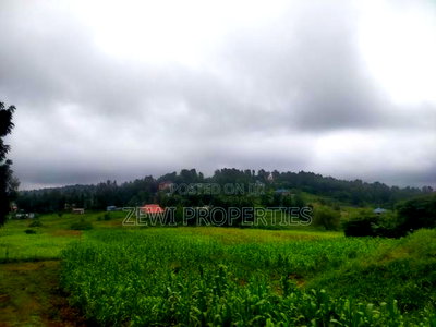 1 Acre Kauurai - Image 2