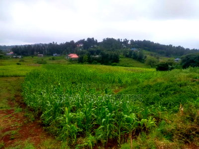 1 Acre Kauurai - Image 5