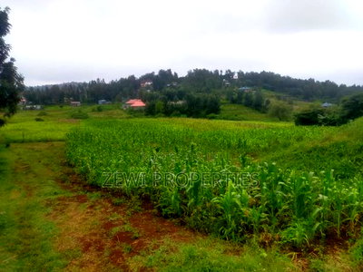 1 Acre Kauurai - Image 3