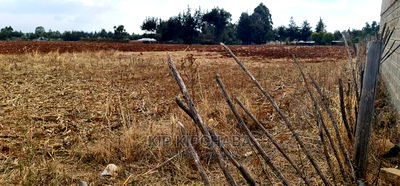 Commercial Plot for Sale in Naibery Etouching Tarmac Ldoret - Image 3