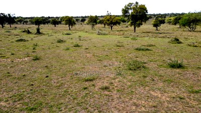 10 Acres Per Acre - Image 5