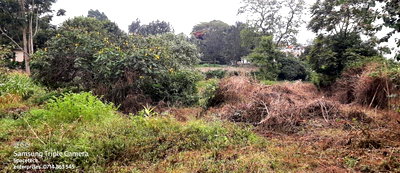 1.25 Acre Garden Plot with Parking - KSh 295M