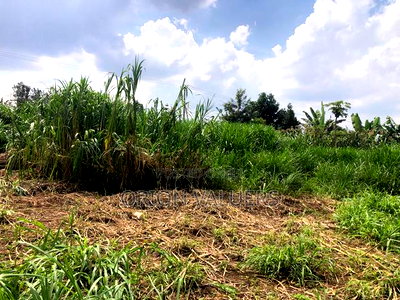 Prime Commercial Plot for Sale - Image 3