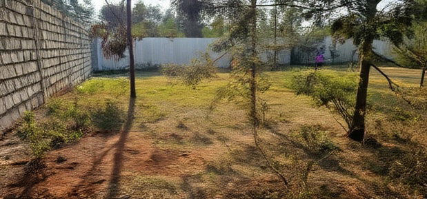 Prime Plots for Sale in Segero Kipkenyo in Eldoret