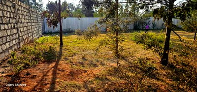 Prime Plots for Sale in Segero Kipkenyo in Eldoret - Image 5