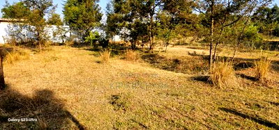 Prime Plots for Sale in Segero Kipkenyo in Eldoret - Image 6