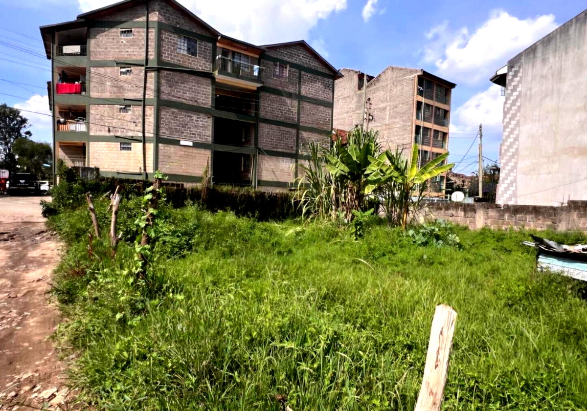KSh 20M Jamhuri Plots