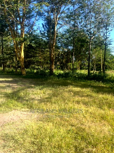 1/2 Acre Prime Plot for Sale at Karen - Image 1