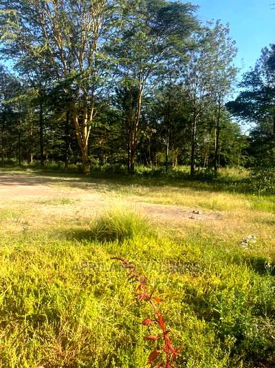 1/2 Acre Prime Plot for Sale at Karen - Image 3