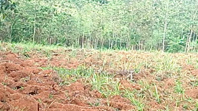 2 Acres for Sale in Kakamega - Image 1