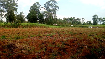 2 Acres for Sale in Kakamega - Image 3