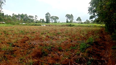 2 Acres for Sale in Kakamega - Image 2